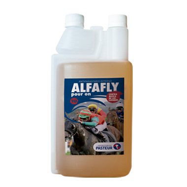Alfafly Equinos