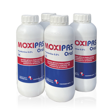 Moxipas Oral